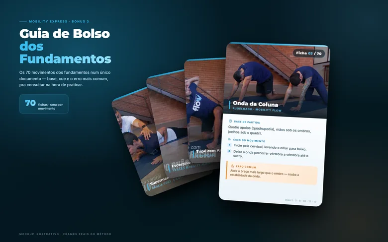 Bônus Guia de Bolso dos Fundamentos